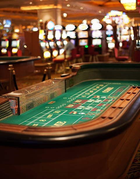 slotcc payout table for Shio Game showing odds for single and multi-animal predictions